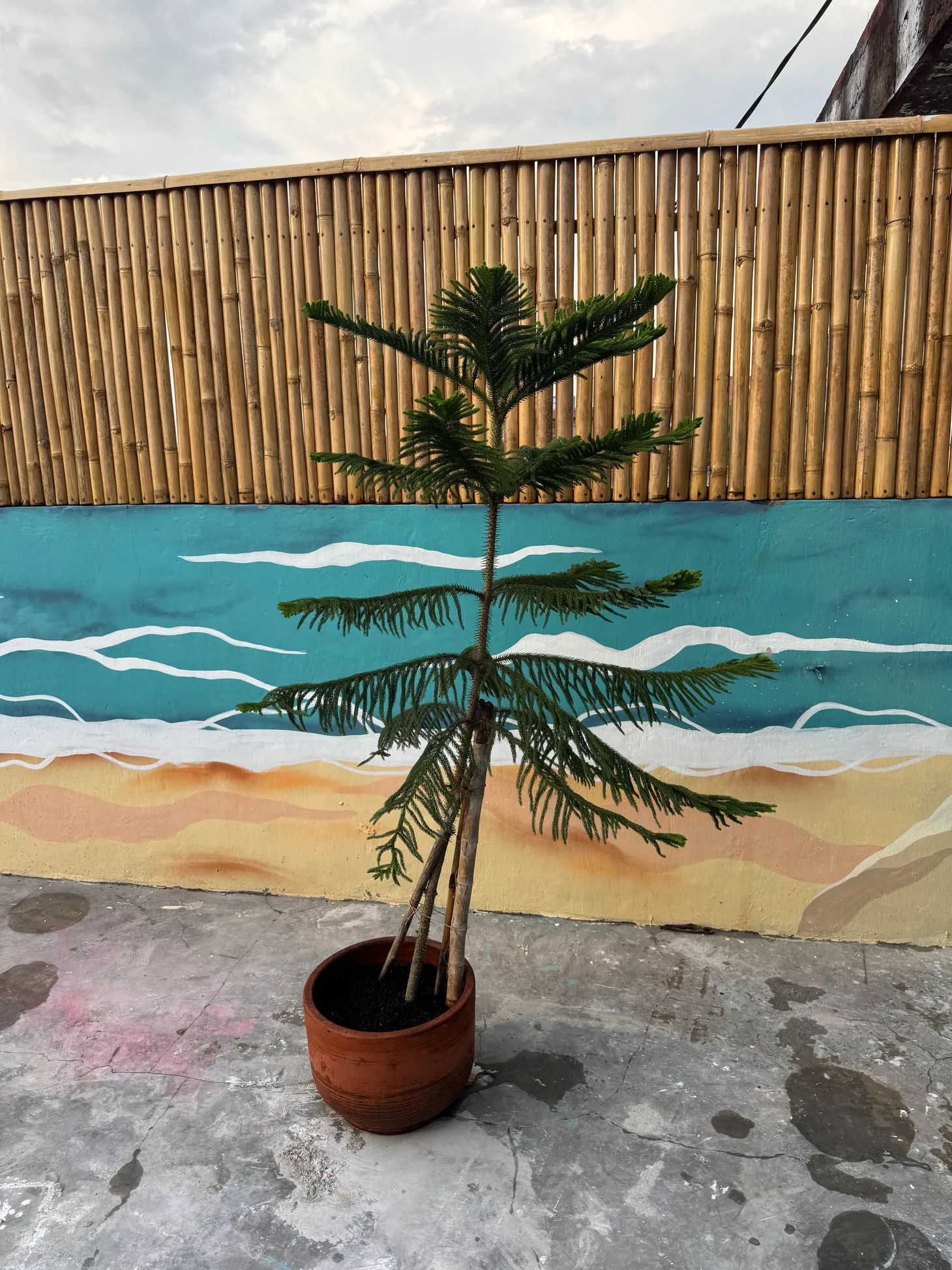 MikroNews: Wir haben ein Problem